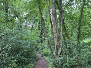 Photo 6- click for photo gallery